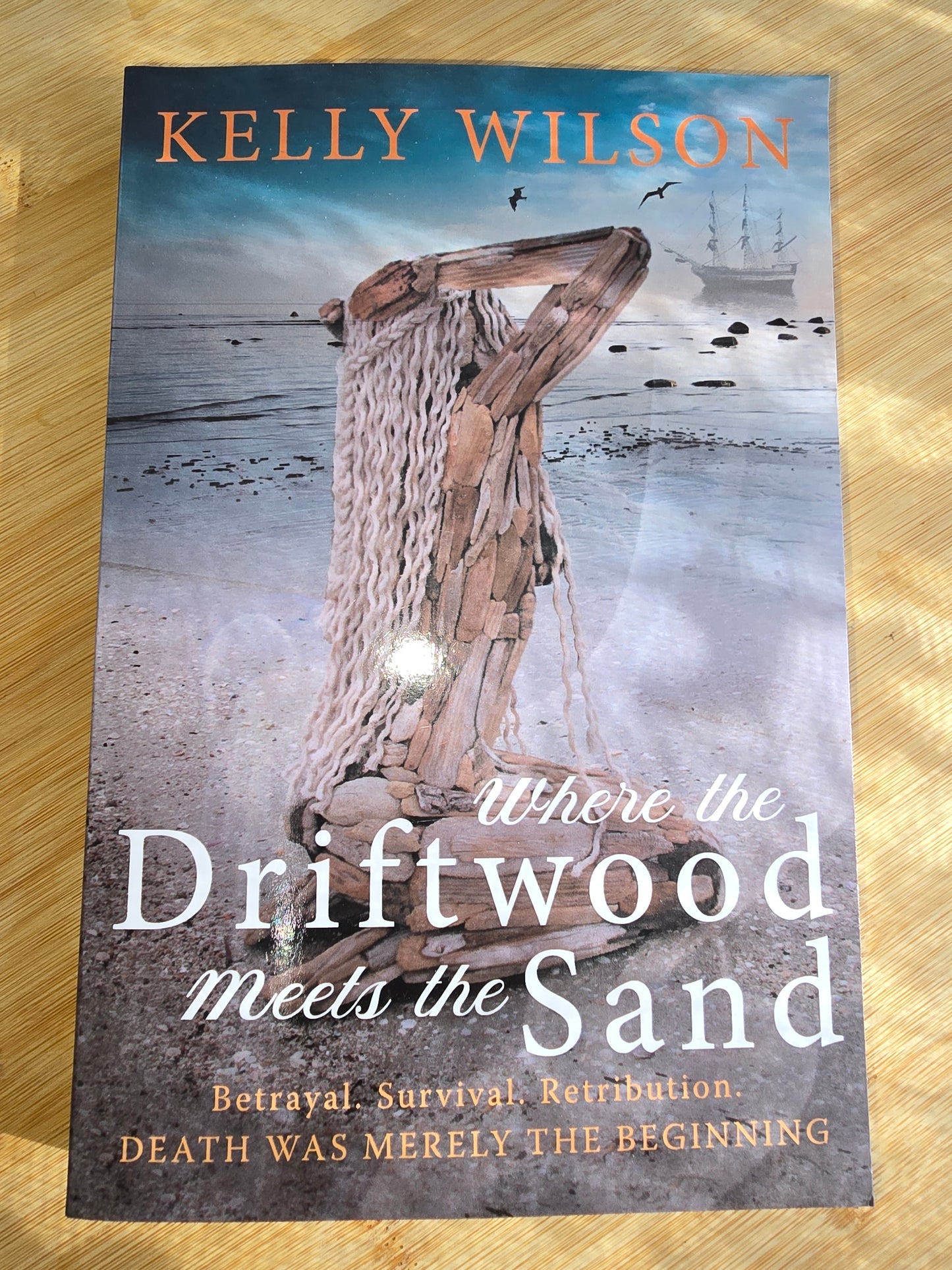 Where The Driftwood Meets The Sand by Kelly Wilson