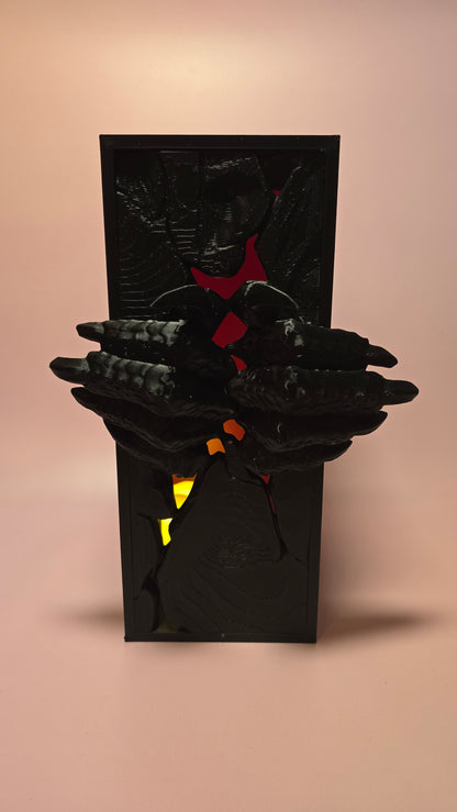 Dragon Book Nook